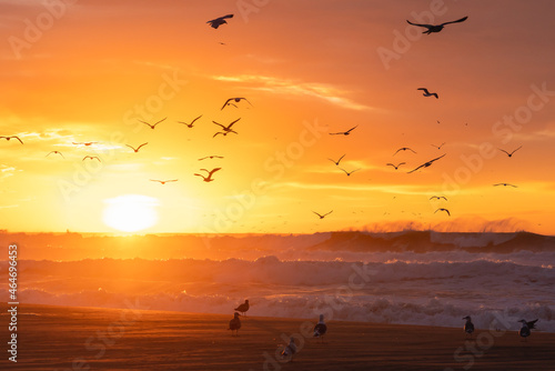 Golden sunset on the beach and silhouette of seagulls. Stormy ocean waves, cloudy sky, and sun setting down the horizon