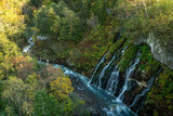 秋の白ひげの滝