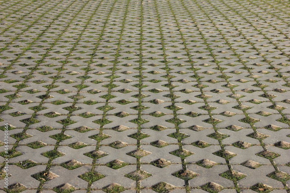 Fototapeta premium paving slabs with holes for grass