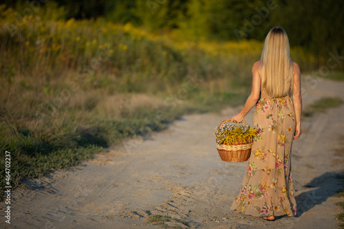 An herbalist walks along a sandy road with a basket full of herbs. Goldenrod and winterflower. photo
