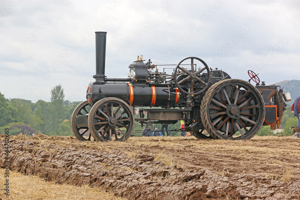 Steam Traction engine in a field