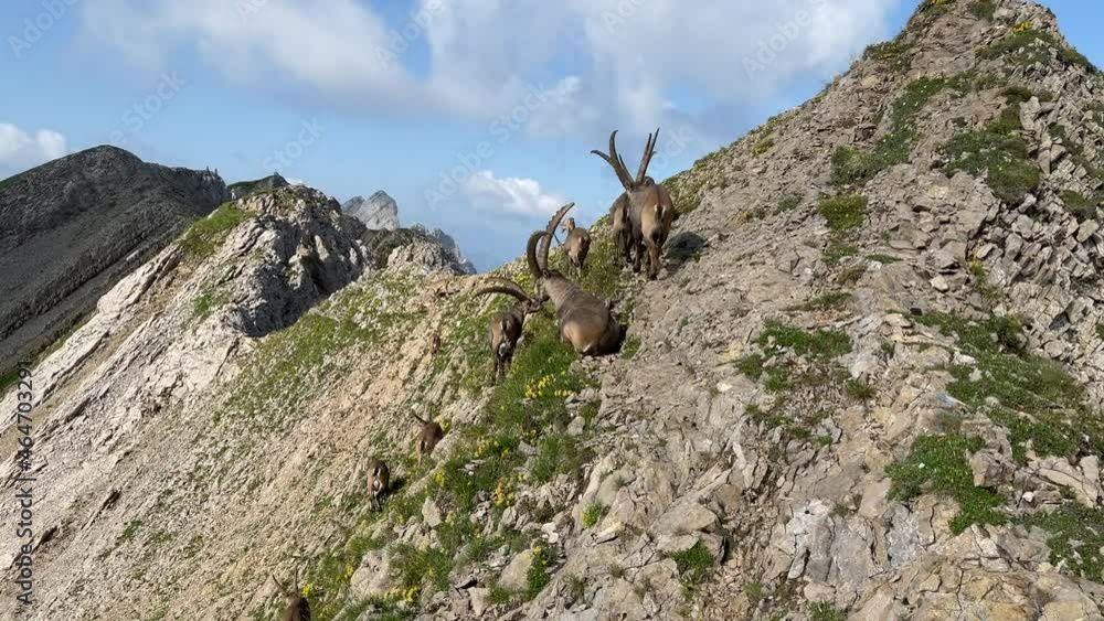 Altman in der Schweiz 