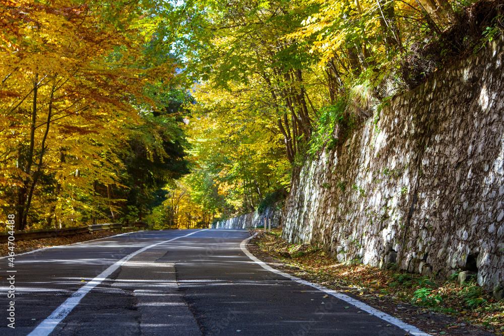 Obraz premium fall colors