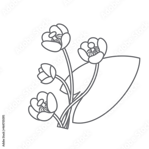 Nuphar flowers monochrome line-art