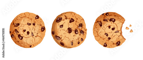 Cookies with chocolate crisps. Cookie crumbs, bitten cookie. Vector illustration.