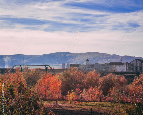 landscape in the mountains