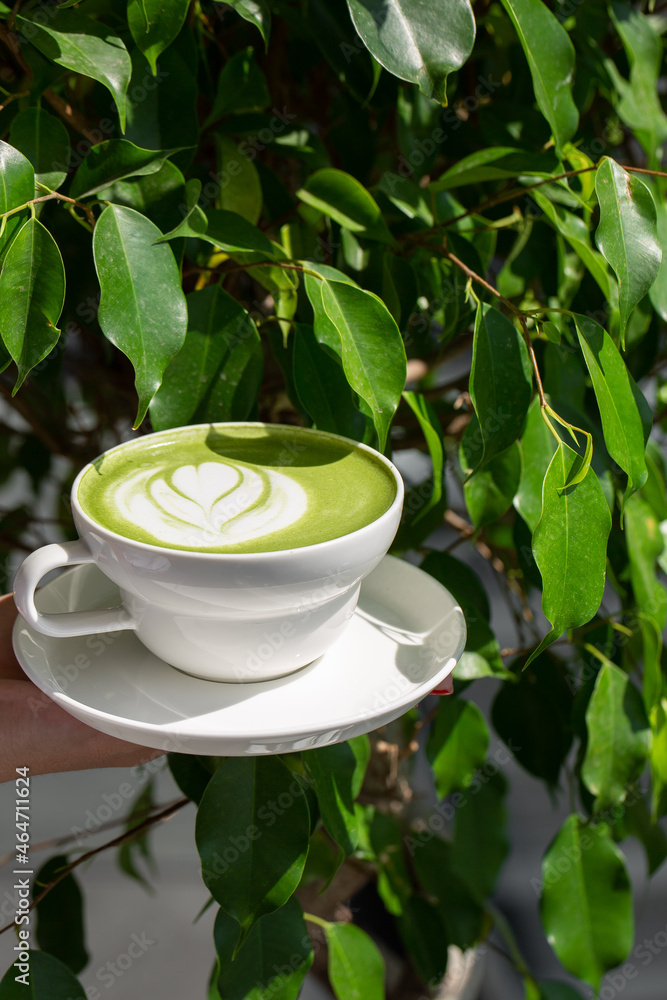 Cup of matcha latte. High quality photo. Matcha, green tea latte in a cup. Green leaves background. Close up. Top view. Cup of matcha latte. High quality photo. Matcha, green tea latte in a cup. Green leaves background. Close up. Top view.