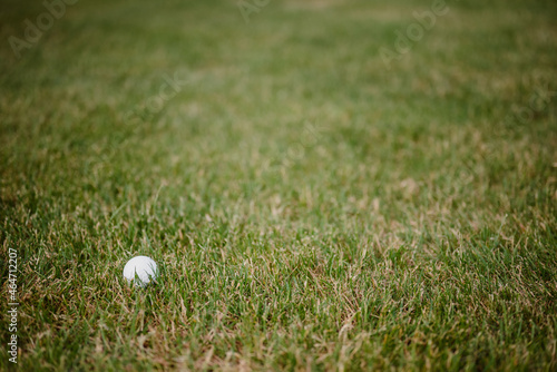 A single golf ball on a green lawn