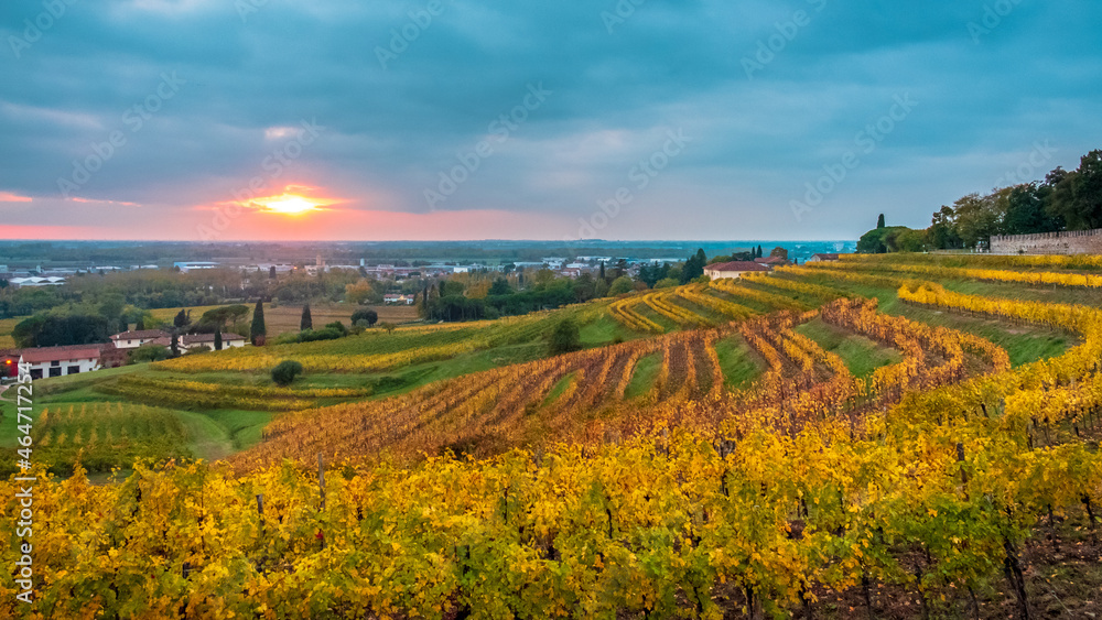 Fototapeta premium Autumn sunset in the vineyards of Collio Friulano