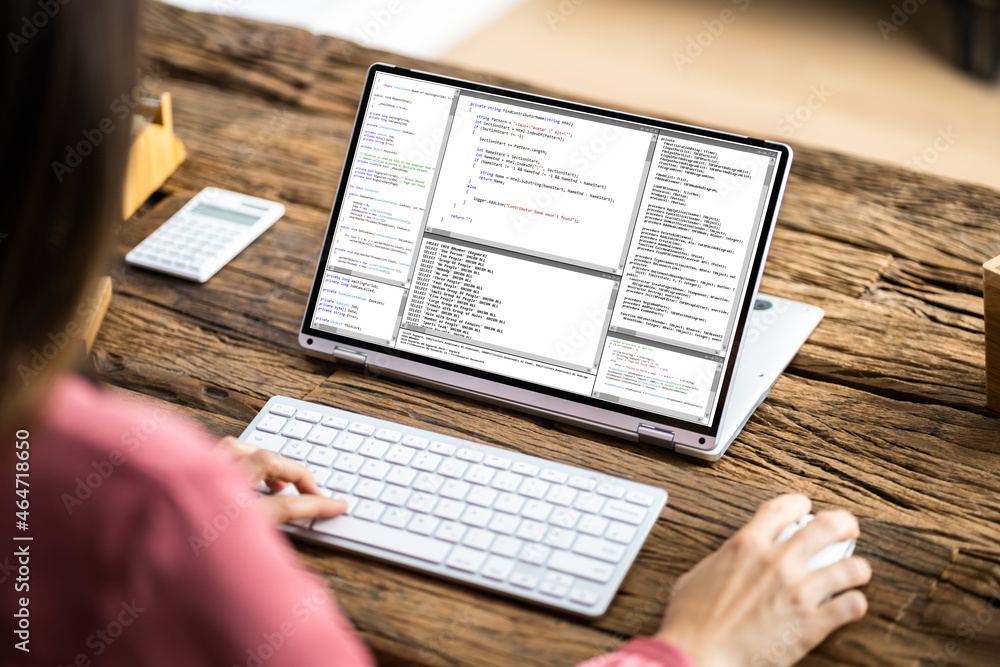 Naklejka premium Programmer Or Coder At Office Desk
