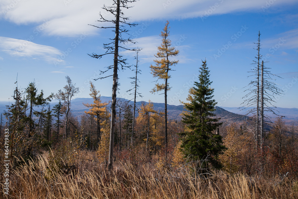 beautiful autumn landscape in the mountains beautiful autumn landscape in the mountains
