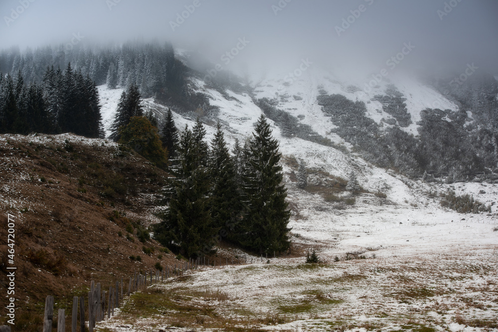 Winter is Coming Winter is Coming