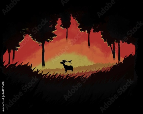 Fototapeta Naklejka Na Ścianę i Meble -  Jeleń w lesie podczas pożaru 