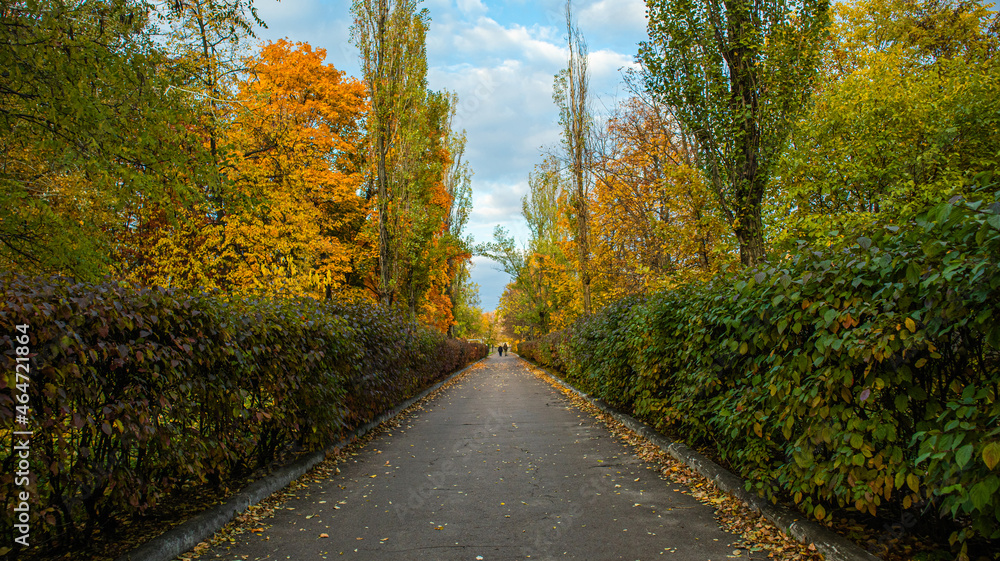Autumn alley Autumn alley