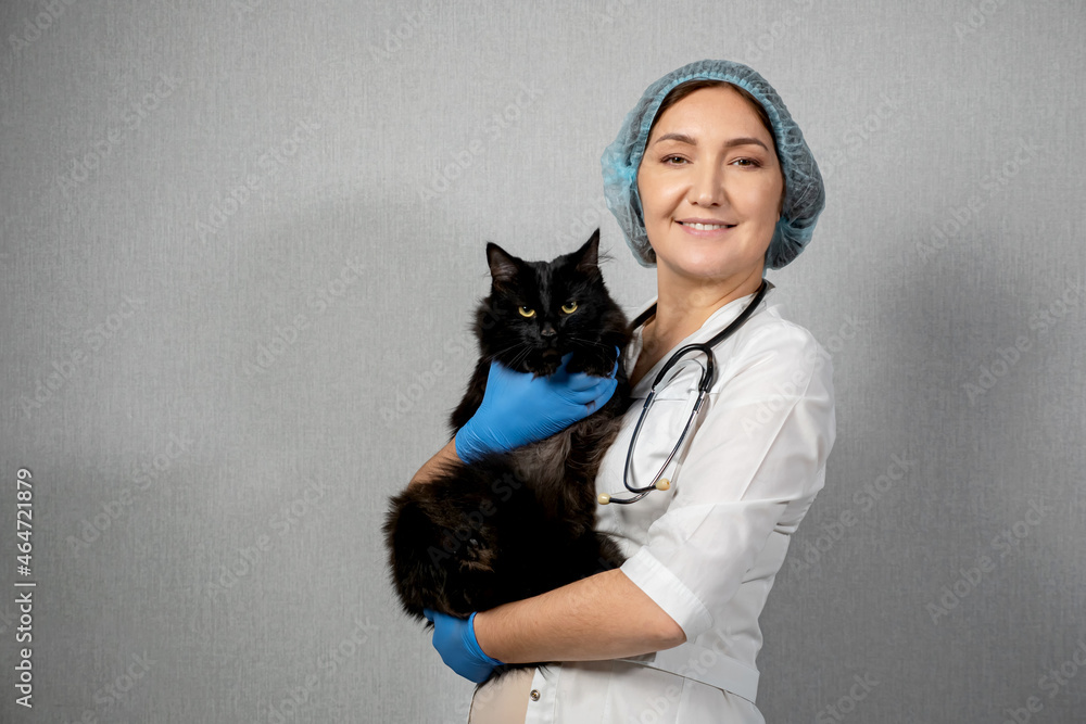 woman veterinarian holds a beautiful black cat, copyspace woman veterinarian holds a beautiful black cat, copyspace