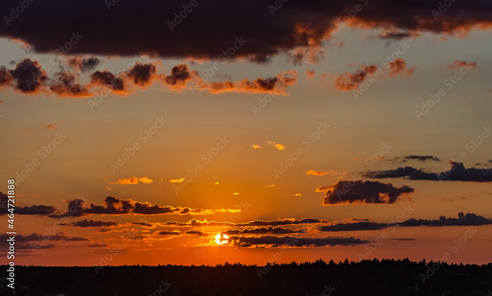 Sunset behind a coniferous forest against the sky with clouds in summer