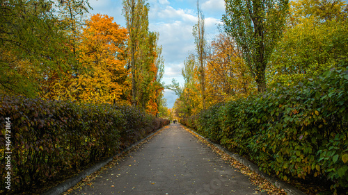 Autumn alley © Volodymyr