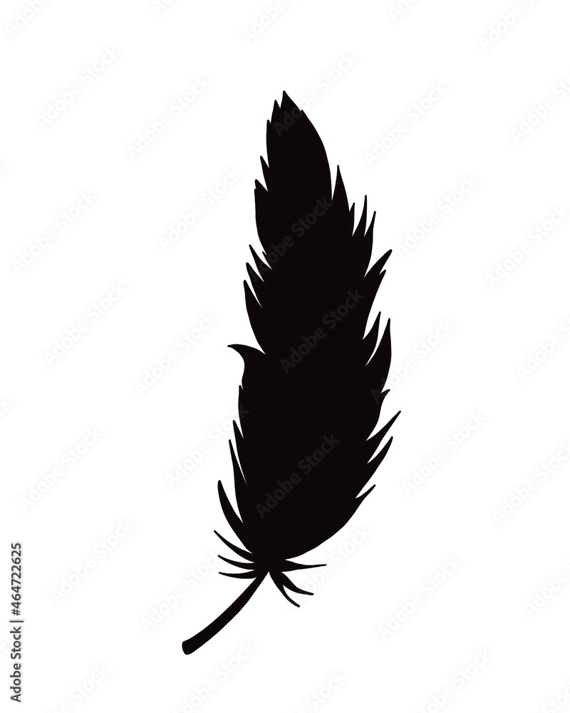 silhouette of bird feather silhouette of bird feather