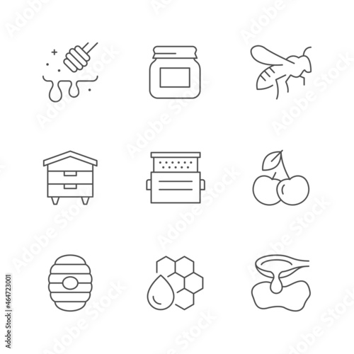 Set line icons of honey