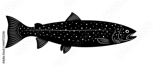 Silhouette of female Atlantic salmon is on a white background.