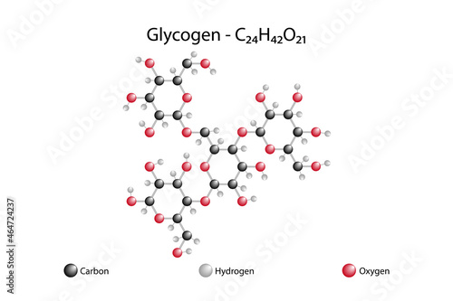 Molecular formula of glycogen. Glycogen is a natural organic compound from the polysaccharides group of carbohydrates photo