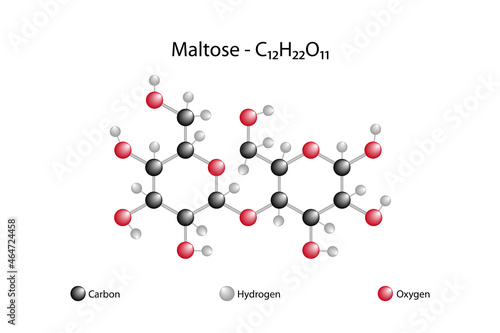Molecular formula of maltose. Maltose is a disaccharide. photo