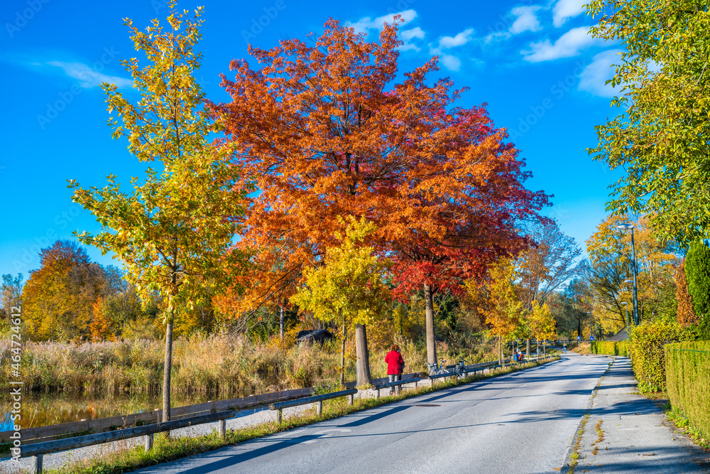 autumn in the park