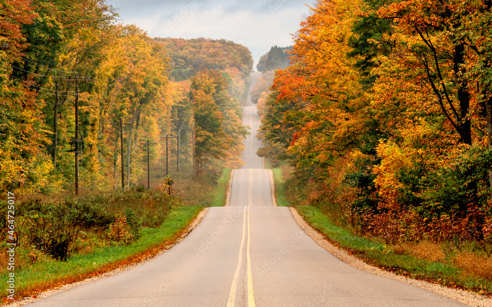 Naklejka premium Wavy curvy country roads under autumn scenes 