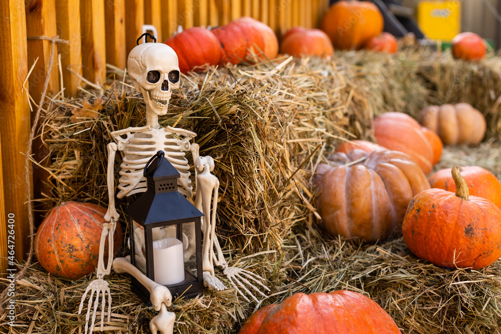 Φωτογραφία Different varieties of squashes and pumpkins on straw