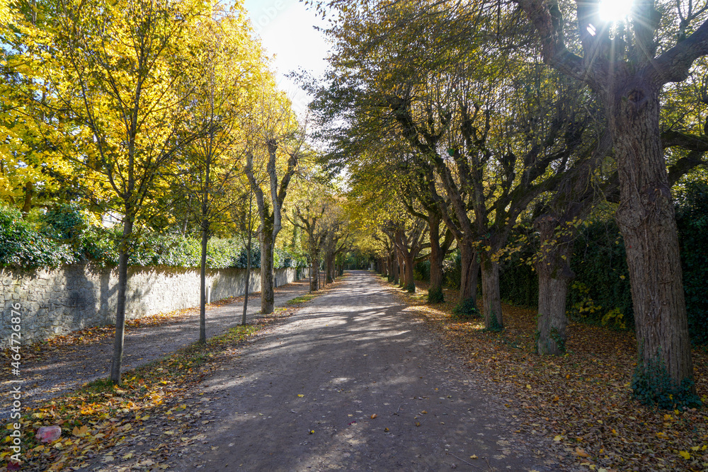 Naklejka premium Park for recreation for all open in Germany
