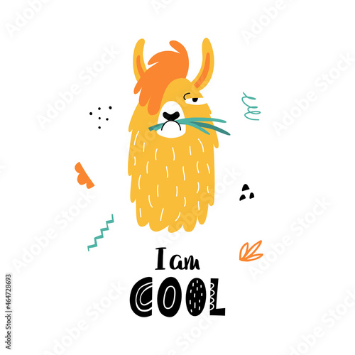 Funny llama or alpaca face poster with cute lettering in hand drawn style. Perfect for t-shirt, apparel, cards, poster, nursery decoration. Isolated on white background vector illustration
