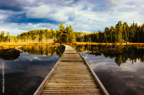 wooden bridge in the lake