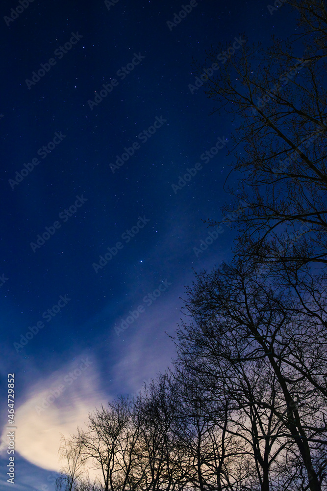 Nachtaufnahme mit Wolken, Sterne, Himmel, Bäume, Wald Nachtaufnahme mit Wolken, Sterne, Himmel, Bäume, Wald