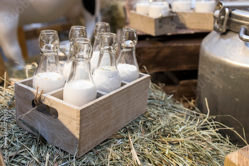 Milk - decoration on farm. Agriculture, farming. Farmer milk in bottles. Natural milk, organic milk. Vintage ornament with hay, straw and bottles with yogurt. Farmer product. Rustic decor. Products