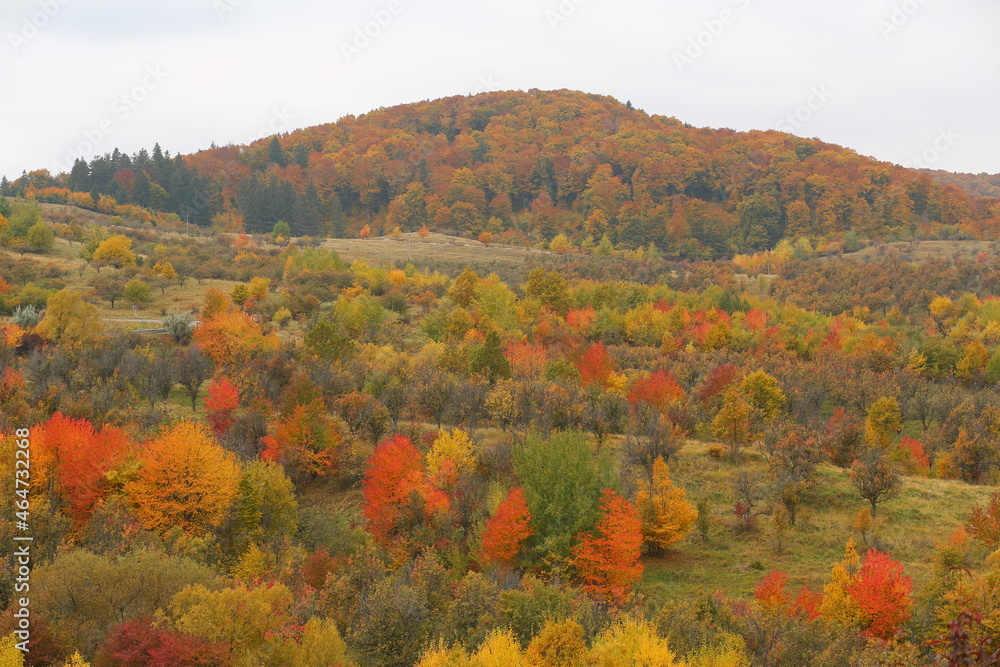 Beautiful  colorful autumn landscape of the Carpathian Mountains in Romania