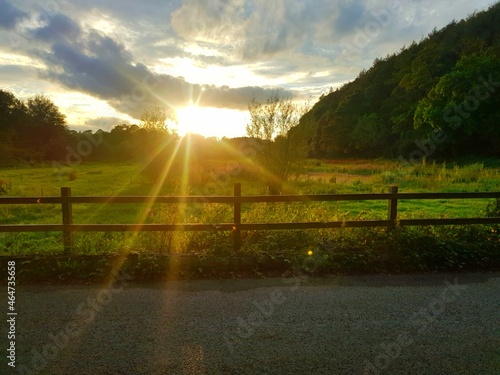 Evening in the field in Totnes, Devon, UK