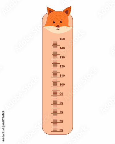 Kids meter wall with cute fox. Stadiometer for little children. Kids space height chart. Design of kid's products. Cute wall meter with funny animals. Vector template.