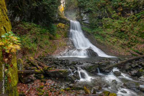 Racehorse Falls is a Beautiful Waterfall that plunges 140  down a gorge in four tiers of stunning cascades. Seen here during the fall season with colorful yellow leaves surrounding the creek.