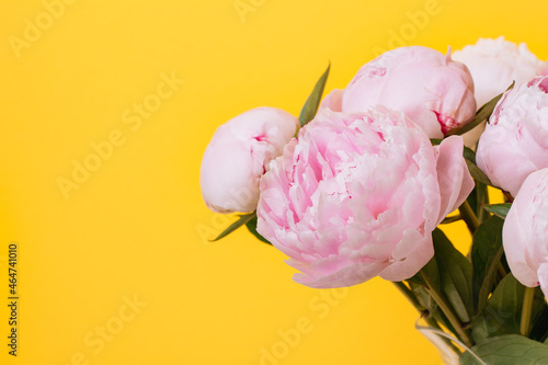 close-up fresh bouquet of pink peonies on yellow background. holiday and gifts concept
