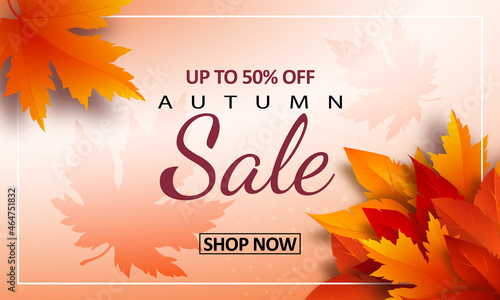 Autumn sale background with bright Realistic yellow, red, orange leaves and advertising discount text decoration. Vector illustration.