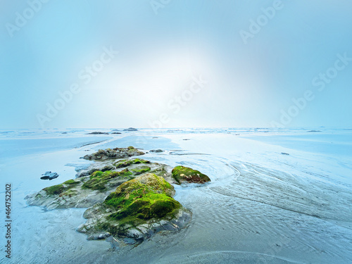stylized ocean sea shore beach sand rocks seaweed stones nature background