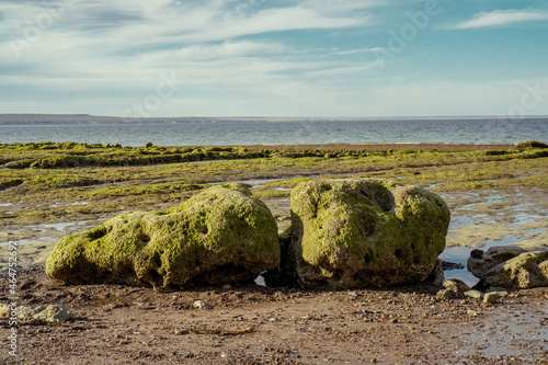 seascape with rocks