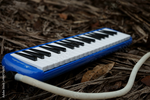 Melodica Musical Instrument photo