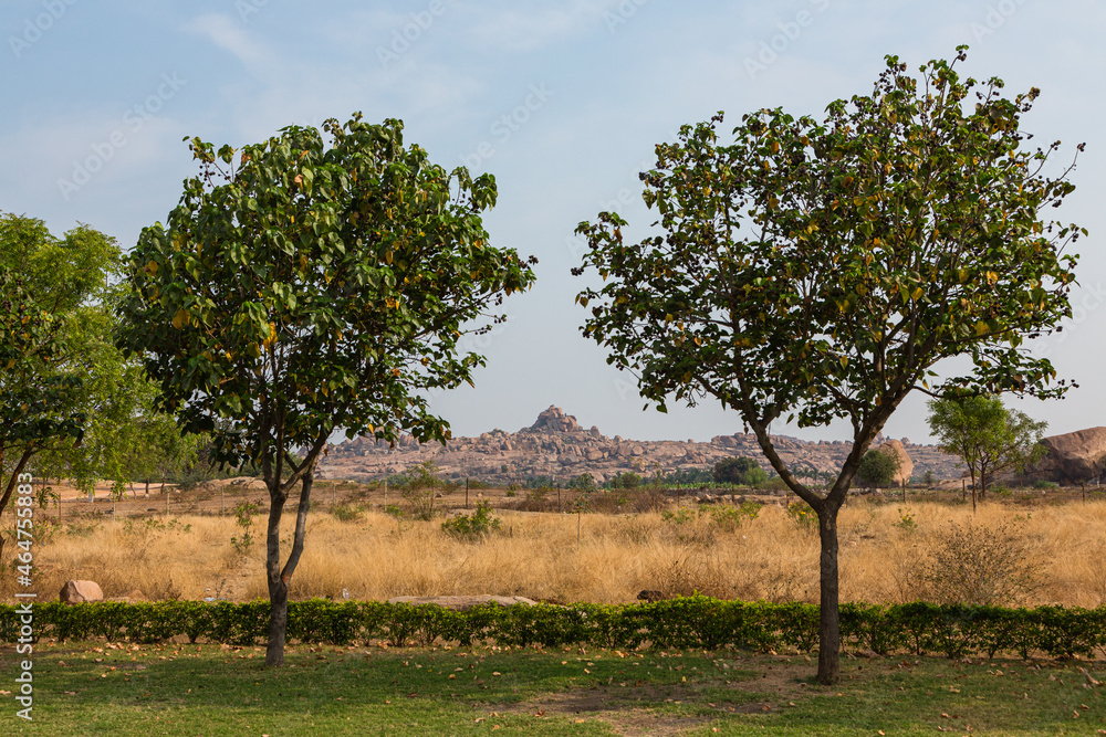 インド　ハンピの風景