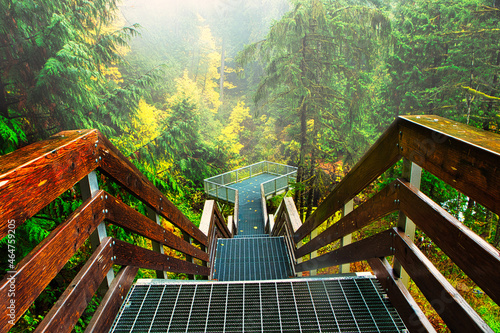 Elk Fall Provincial Park, Watterfall, service, bridge, at Campbell River, Vancouver Island, British Colombia, Bc Canada