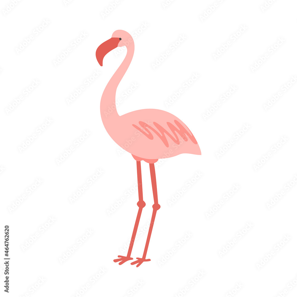 Fototapeta premium Standing cute pale pink flamingo vector illustration