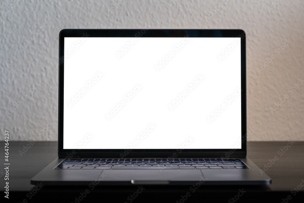 Empty laptop screen perfect for testing and a mockup of a design. Bright white  screen in