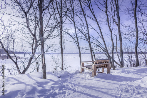 Wooden chair by the frozen Ottawa riverside