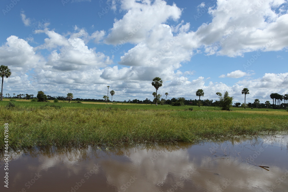 カンボジア、シュムリアップ農村
