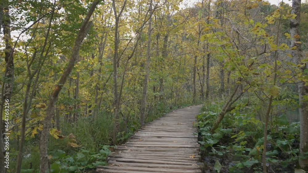 a walk in the Plitvice lakes national park